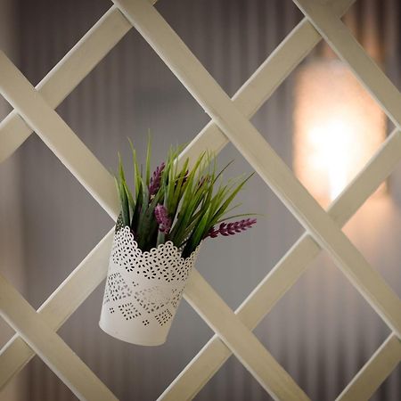 Apartmán Studio Tironi 2 -Sonja Trogir Exteriér fotografie